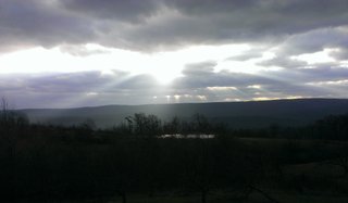 Sunbeams